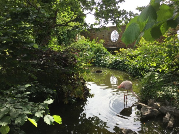 The Queen's Tower, viewed through a window in the roof garden wall, shows the true bizarreness of flamingoes at 30 metres in London