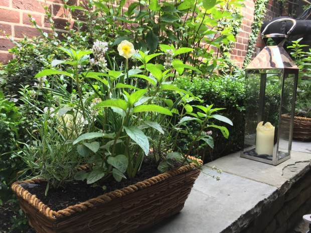 There were beautiful details alongside the more rustic areas at Kensington Roof Gardens