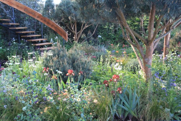 Very dense planting around the Mathematics Garden building. Nick Bailey