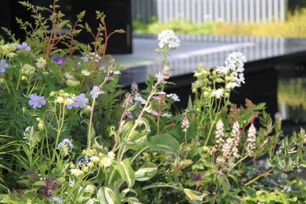 Yano Tea and Chihori Shibayama's 'East meets West' Chelsea 2016 show garden