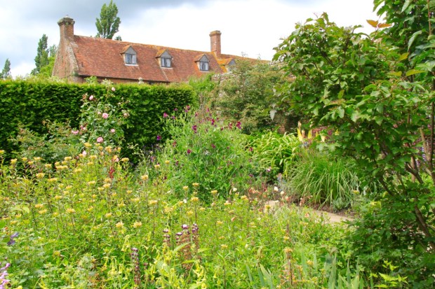 Old-fashioned plant species look quite the part against the backdrop of the listed building