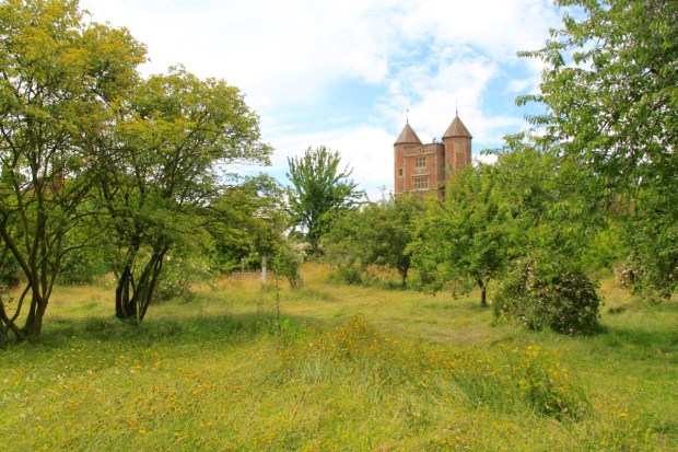 The orchard is evolving into a flower meadow with mown pathways allowing visitors to feel connected to nature