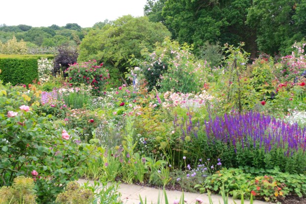 Troy has increased the number of rose cultivars by 40%, in line with historical records, with the wonderful Kent countryside in the background