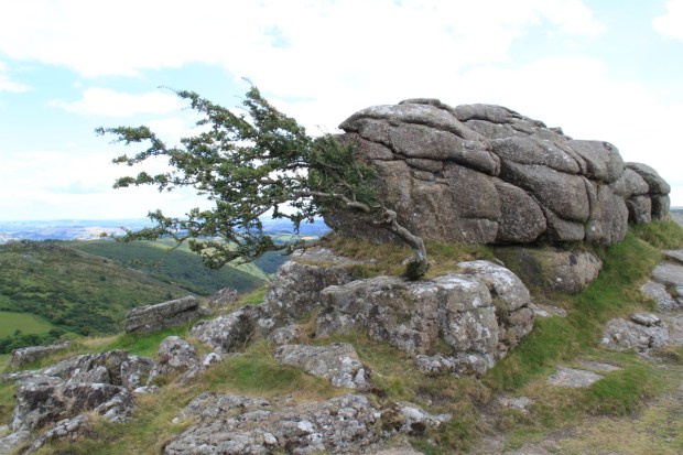 A slightly more bleak view of Dartmoor National Park