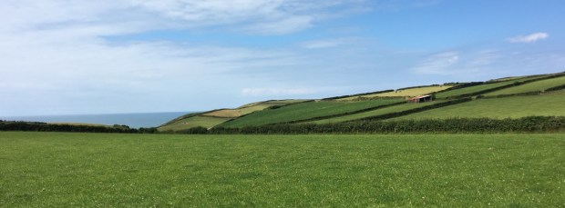 A very English scene!