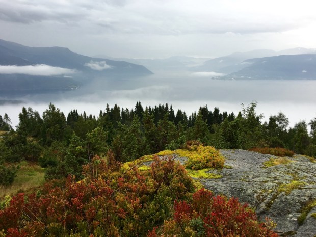 Another photo that looks quite fake; just spectacular colours in pouring rain