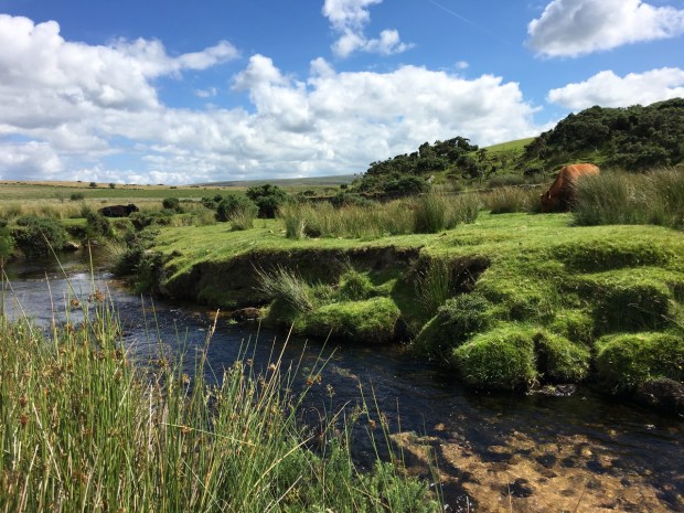 Beautiful Dartmoor National Park