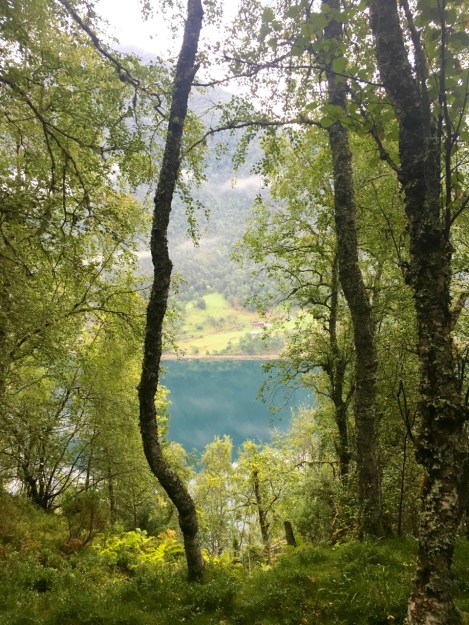 Even as the rain pours down, the colours of the fjords were just stunning