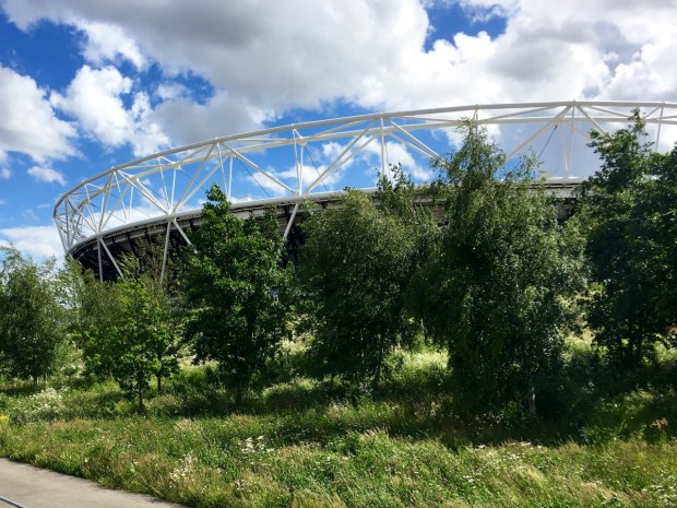 It's often the simple things that work so well: not wow, but just gorgeous!