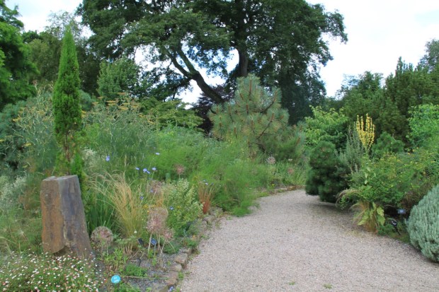 Lady Anne travelled to Spain, South America, Papua New Guinea, New Zealand, the USA and Japan to collect plants for her garden; whilst she seemed to have missed out Australia, to me this part of the garden would look very at home in southern Australia