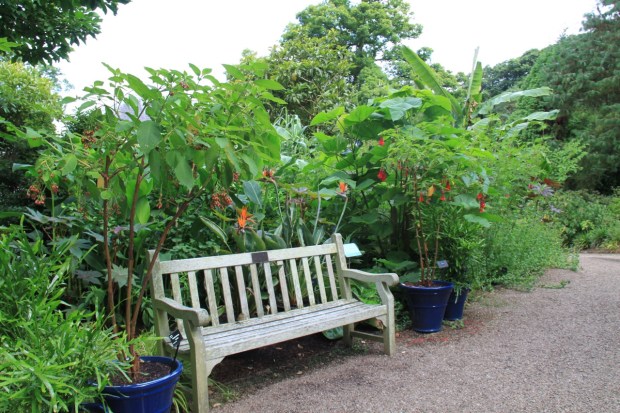 Lady Anne's travels influenced her Exotic Garden