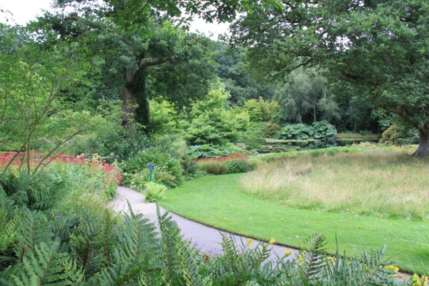 Naturalistic, large scale plantings by the lake at Rosemoor