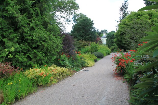 Oh, those red Crocosmia. We had to drive out this way and every time, despite huge care, I knocked some more flowers to the ground. Locals treat them as weeds, but I desparately wanted to look after them!