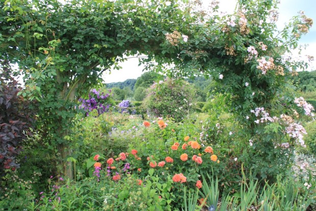 Peering into the Shrub Rose Garden at Rosemoor