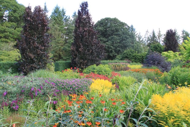 RHS Rosemoor Hot Garden