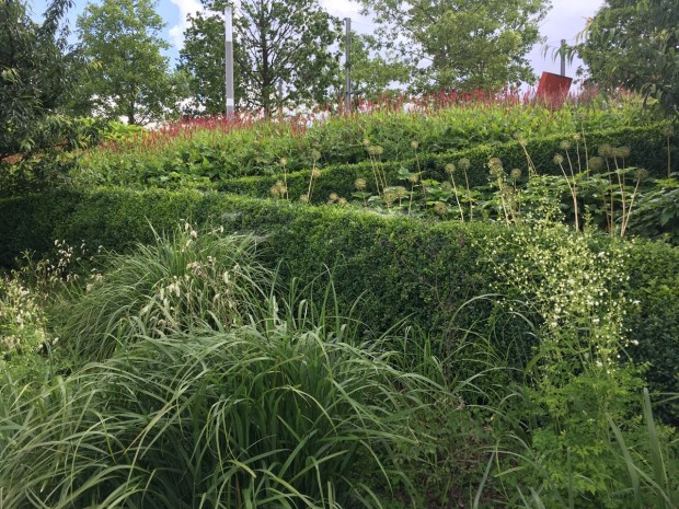 The Asian Garden: structural and uniform