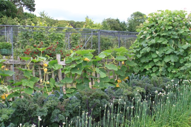 The Fruit and Vegetable Garden at Rosemoor