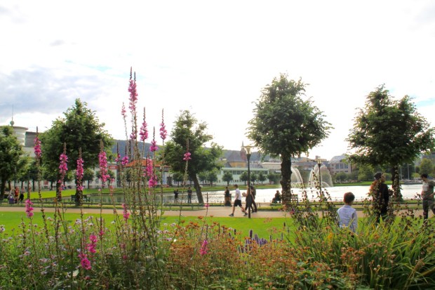 The park around Lille Lungegårdsvann lake in Bergen: the best horticultural planting I saw in Norway