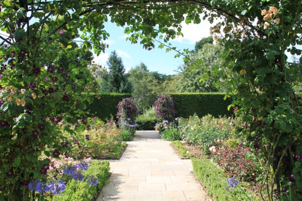 The Queen Mother's Rose Garden at Rosemoor