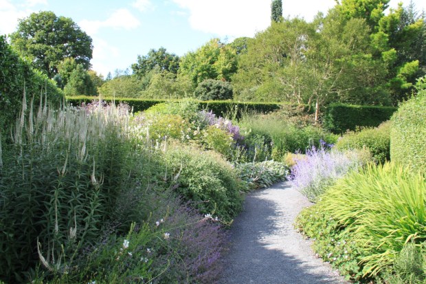 The Spiral Garden at Rosemoor