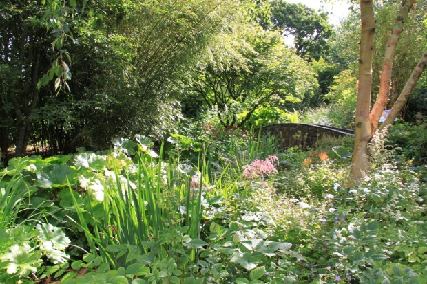 The Stream Gully and Rock Garden at Rosemoor