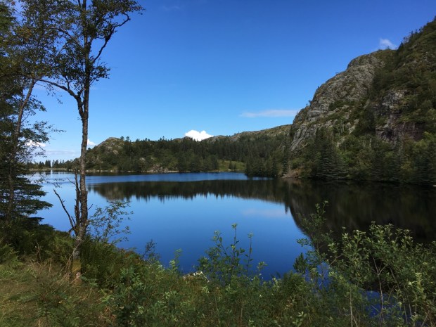 There's something very soothing about water this calm