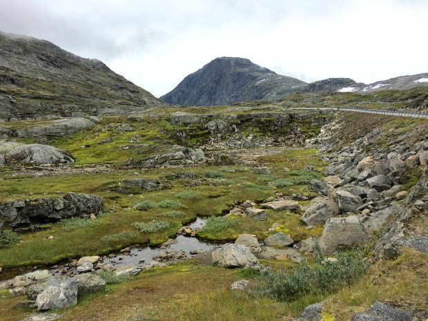 Trollstigen mountain plateau: bleak but it didn't half grow on me quickly