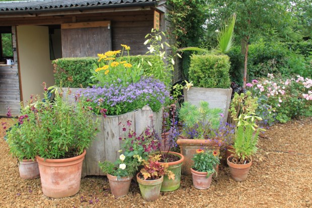 A mellow version of the Great Dixter entrance at Broughton Grange