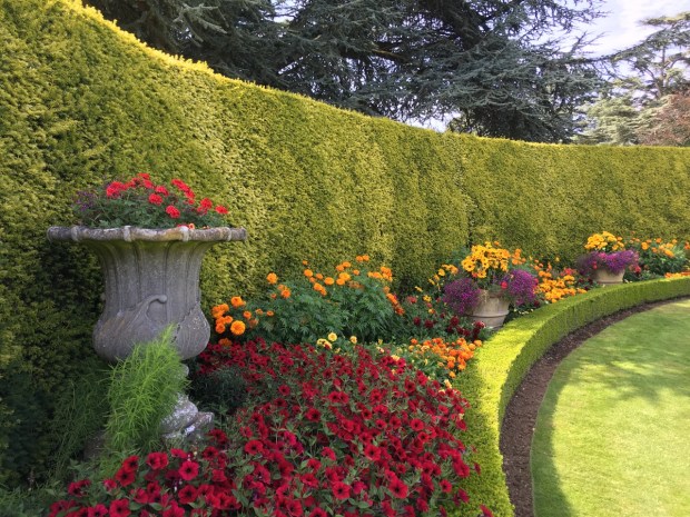 Cheery colours but perhaps a little too dated?