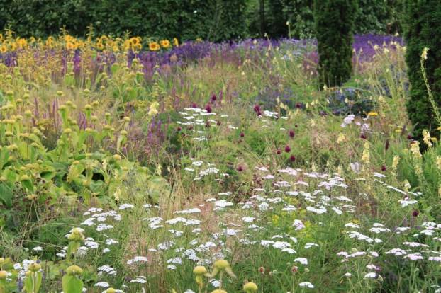 Delicate white yarrow lifts the soothing purples and soft yellows at Broughton Grange