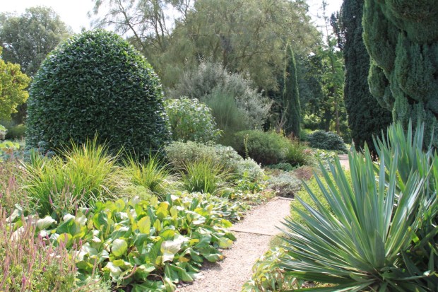 Drought tolerant plantings in the Scree at Beth Chatto's