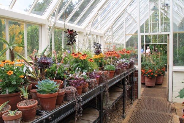 Even the greenhouse at Broughton Grange was an aesthetic delight!