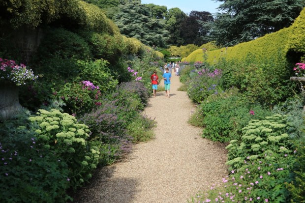 Golden holly on one side of Madeira Walk and golden yew on the other. Could I grow to like it? (Note: Max and Sebastians are clearly to be future Australians, with their bare feet on gravel paths!)