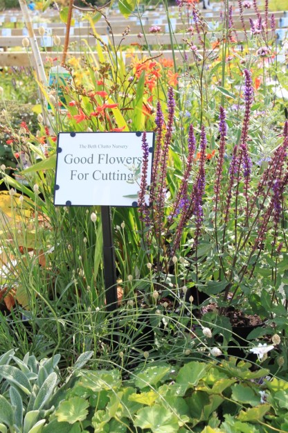 I'm amazed more nurseries don't help their customers out with signs like this; it must be a win-win for both business and buyer