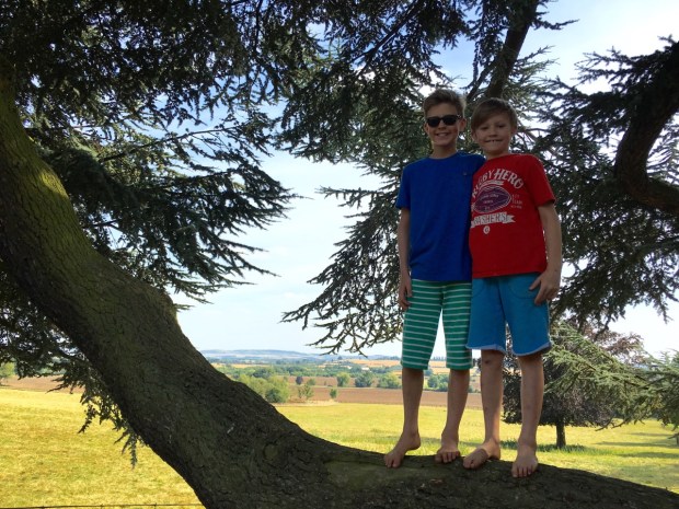 My nephews definitely beat me at hide and seek; I was quite good at hiding behind large shrubs but not so good at hiding in large trees!