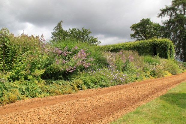 Such a perfect mix of natural but interesting for a country track at Broughton Grange