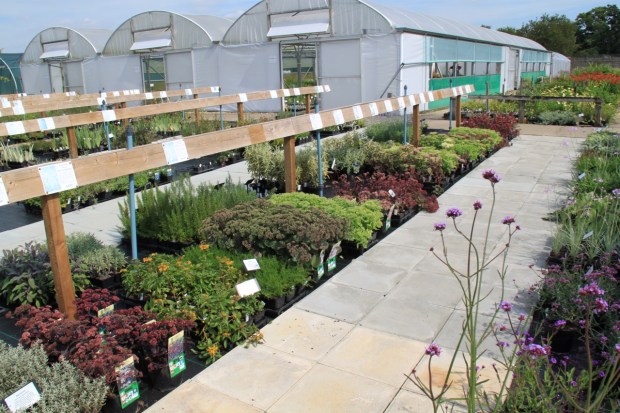 The Beth Chatto Nursery is perhaps the best I've ever seen