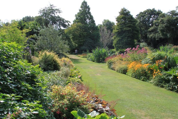 Traditional shrub and perennial borders in the Water Garden at Beth Chatto's