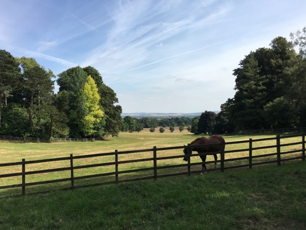 Views over and beyond Ascott Estate, in Buckinghamshire
