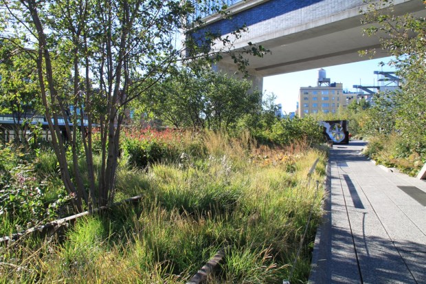 120 artists have shown off their work on the High Line