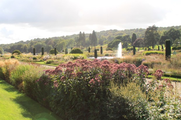 A combination of Piet Oudolf and Tom Stuart-Smith. Bliss