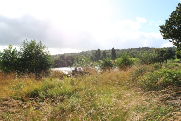 An older couple share a special moment in the Rivers of Grass at Trentham