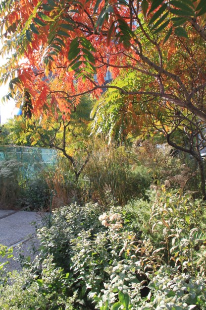 behind the Diller-Von Furstenberg Sundeck and Water Feature