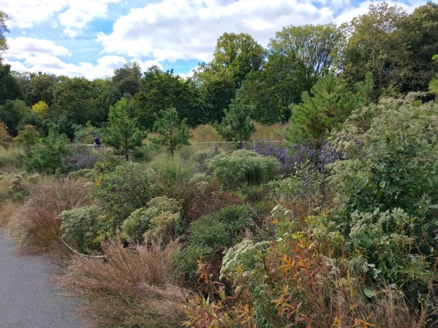 Brooklyn Botanic Garden, New York