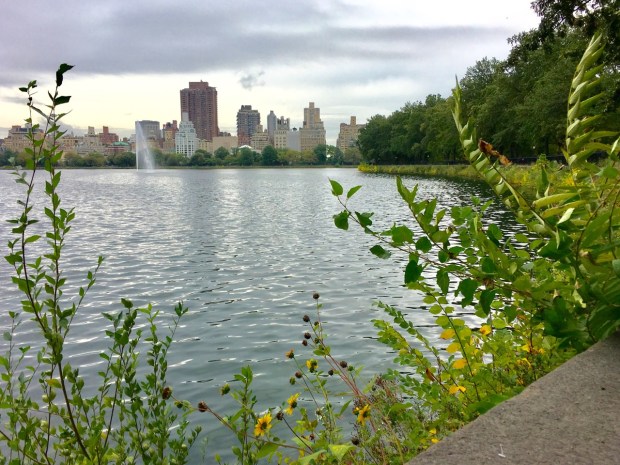 Central Park, New York