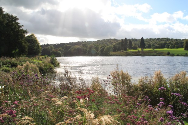 Enhanced nature, from the eighteenth and twenty first centuries at Trentham