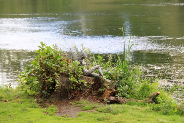 Fifteen gorgeous fairies, created by Robin Wight, are dotted around the garden where you least expect them