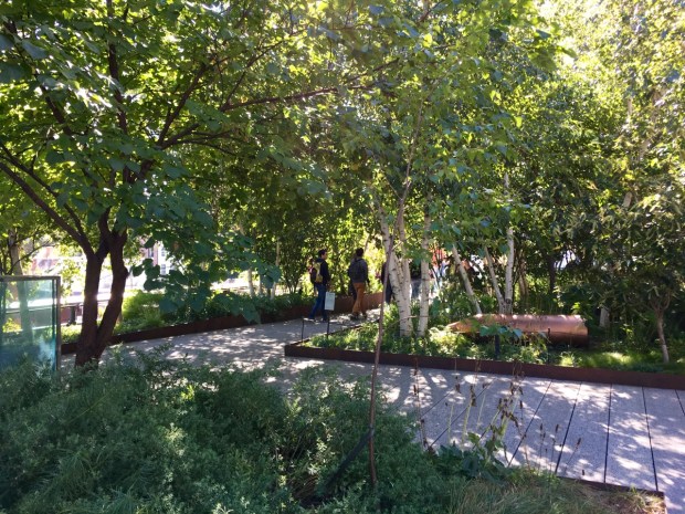 Gansevoort Woodland, the High Line