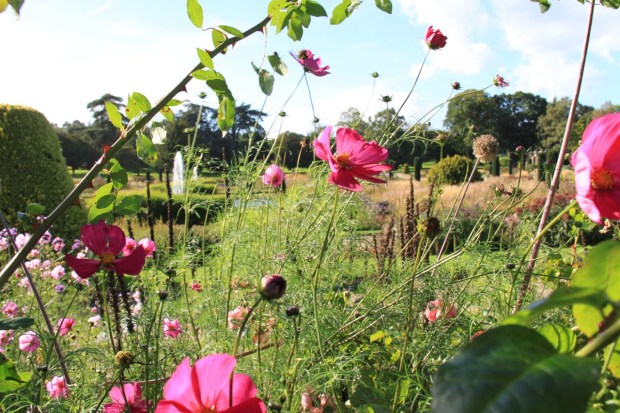 I wasn't overly taken by the Rose Border, but a sneak peak through to the Italian Garden were enhanced by its soft planting