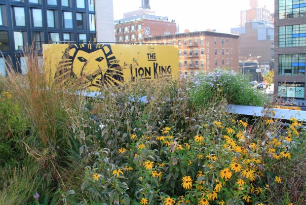 I'm sure it was coincidence, but it was amazing how often the flowers seem to coordinate perfectly with the surroundings!